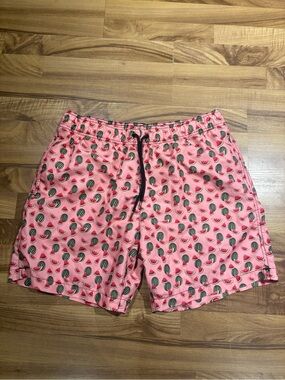 Party Sharks Watermelon Print Pink Swim Trunks Mens Size XL Summer Swimming